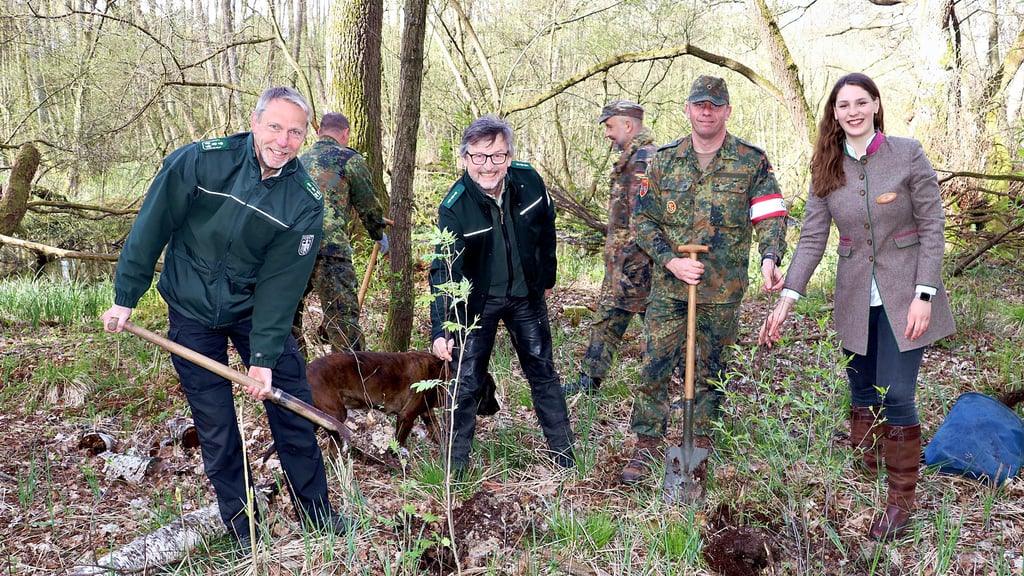 Forstdirektor Rainer Aumann, Arek Bronder (Leiter des Forstreviers Gloinetal), Peter Blankenheim von der Kommandantur des Truppenübungsplatzes und Baumkönigin Johanna Werk (v. li.) pflanzten die ersten Moor-Birken in der Nähe von Zimmermann’s Teich.