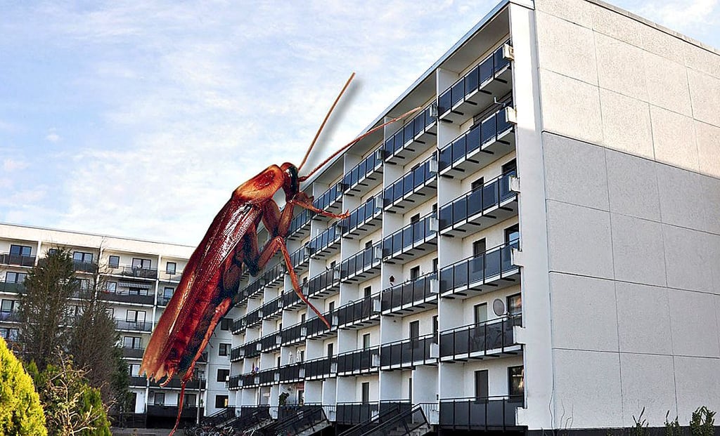 Zwei Mieterinnen, die sich zum Schädlingsbefall eines Plattenbaus in Stendal geäußert hatten, erhielten die fristlose Kündigung ihres Mietverhältnisses.