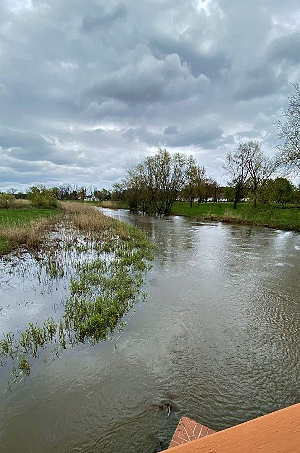 Die Schwarze Elster führt ebenso nach wie vor mehr Wasser als üblich, jedoch sinkt der Pegel auch hier.