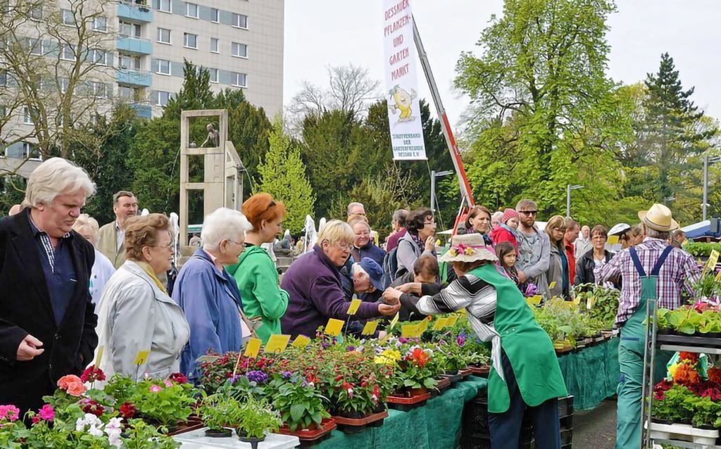 In den vergangenen Jahren war der Andrang rund um den Stadtparkbrunnen immer groß.
