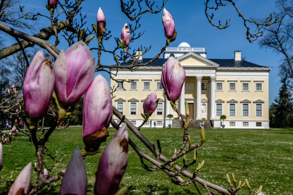 Wie nehmen Einheimische das Dessau-Wörlitzer Gartenreich wahr? Dieser Frage geht eine Doktorandin wahr, die gegenwärtig an der IMT - School for Advanced Studies Lucca forscht.