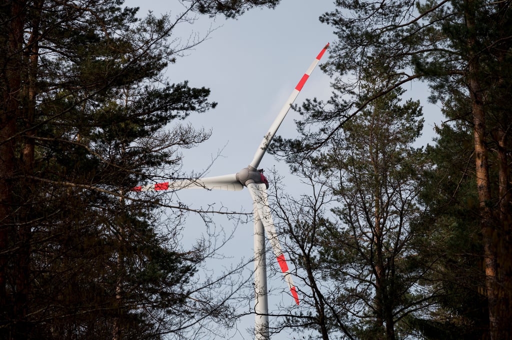 Windräder könnten in einem Wald nahe Arendsee entstehen.