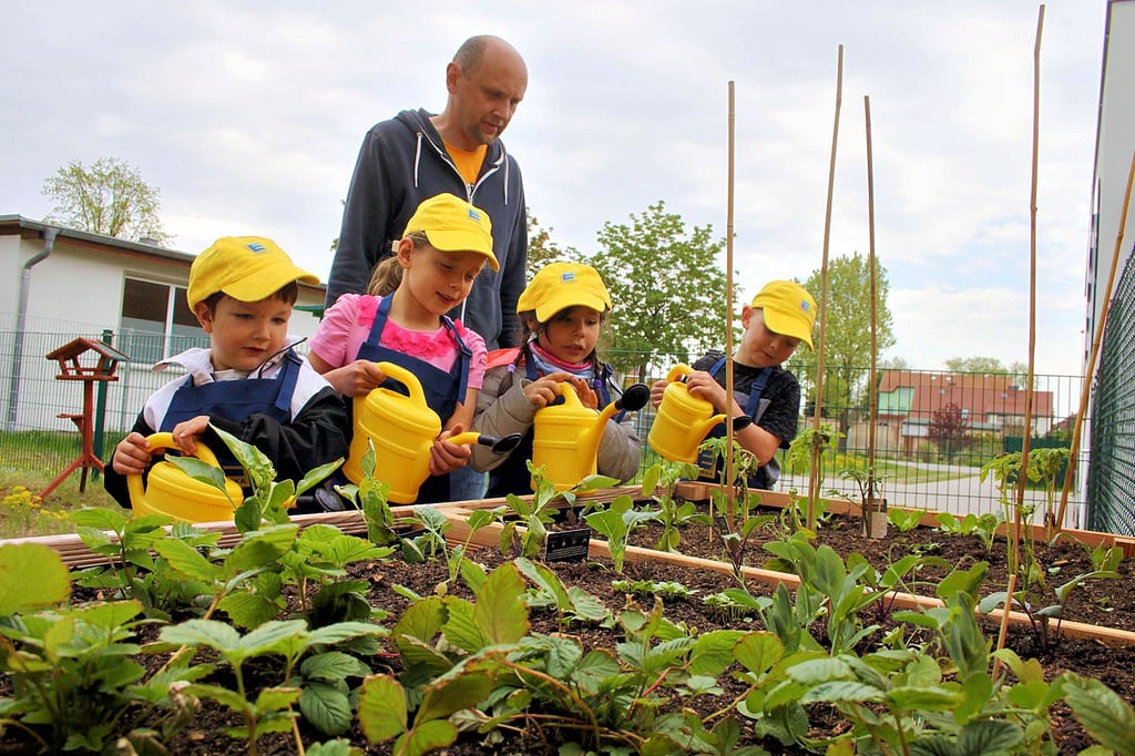 Wenn es um die Belange ihrer Kinder in den Kitas geht, können sich Eltern im Kuratorium engagieren. Das Gremium soll kleiner werden.
