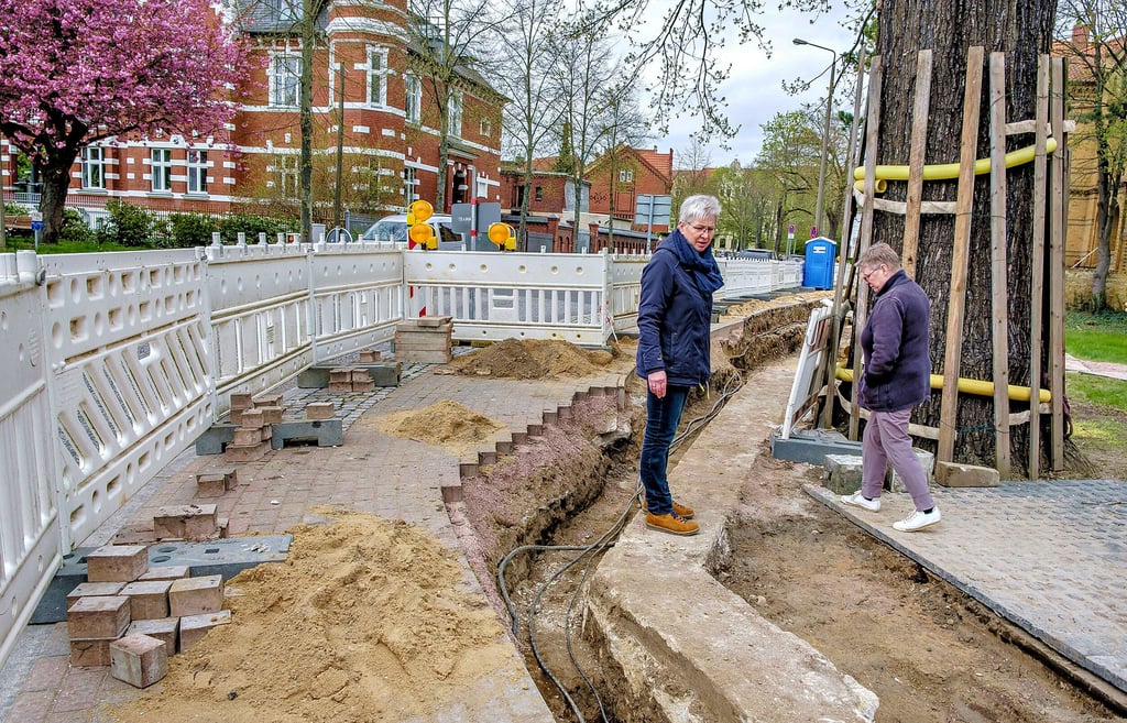 Die legendäre Luthereiche (rechts im Bild) bekommt eine neue Umfassungsmauer. Eike Geisler stellte das Vorhaben vor.