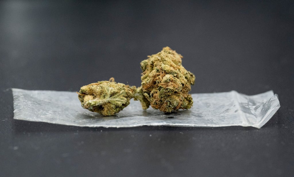 Bis zu 25 Gramm Cannabis sollen künftig erlaubt sein.
