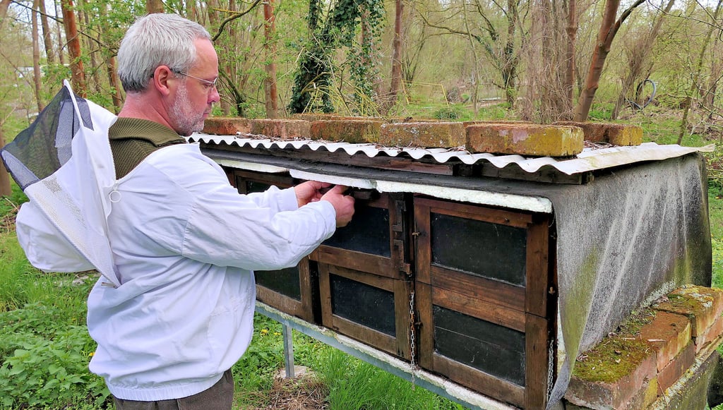 Hobbyimker Sigmar Pöhlke kontrolliert seine Bienenbeuten, denn schon im Frühjahr machen sich die Bienen an die Arbeit.
