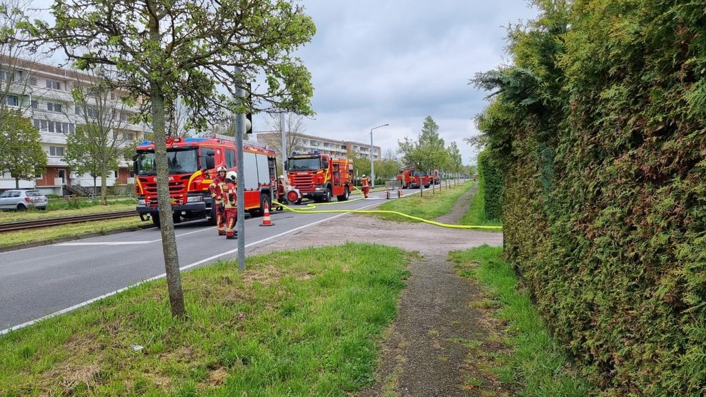 Die Feuerwehr an der Gartensparte in Dessau.