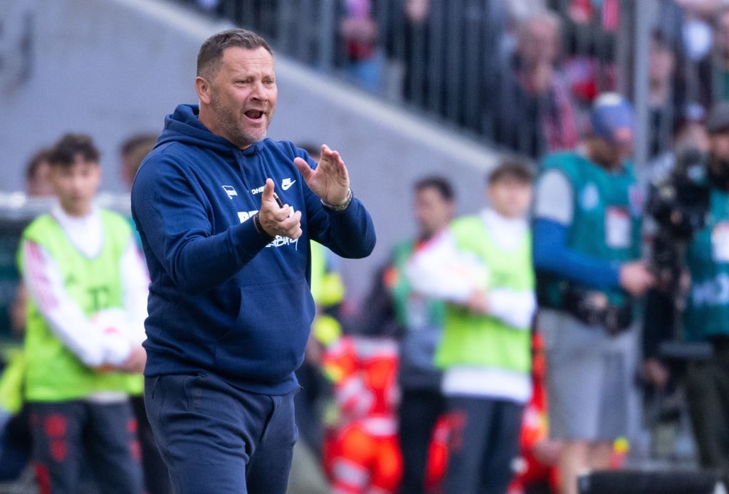 Herthas Trainer Pal Dardai verfolgt das Spiel am Spielfeldrand.