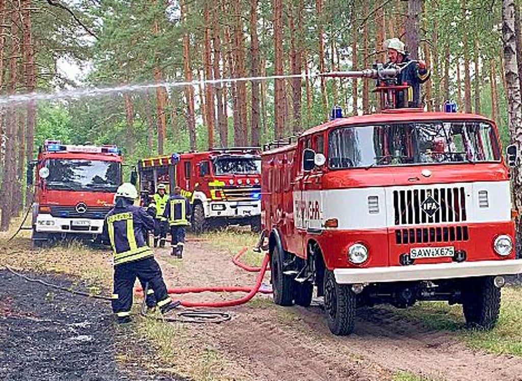 Die Feuerwehren arbeiten, wie hier bei einem Waldbrand im Sommer 2022 mit älterer DDR- und moderner Technik.