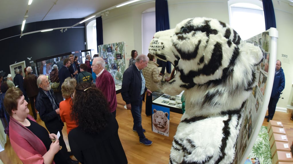 Bis August ist die Ausstellung „Von Affe bis Zebra“ im Museum am Markt zu sehen.