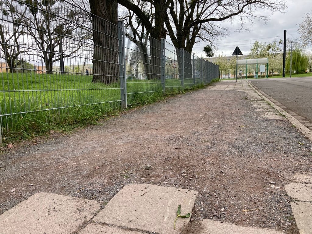 Durch Wurzeltriebe kommt es zu Aufwölbungen. Nach Ausbesserungen der Weg nun wieder halbwegs eben.