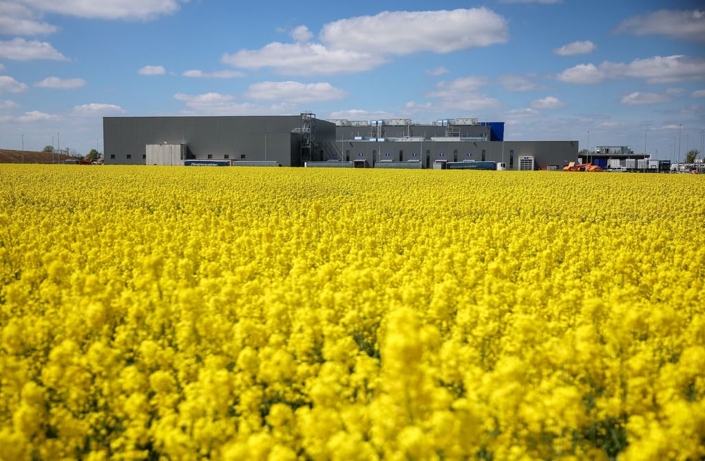 Raps blüht gelb leuhtend vor dem neuen Werk des Nivea-Konzerns Beiersdorf am Stadtrand von Leipzig.