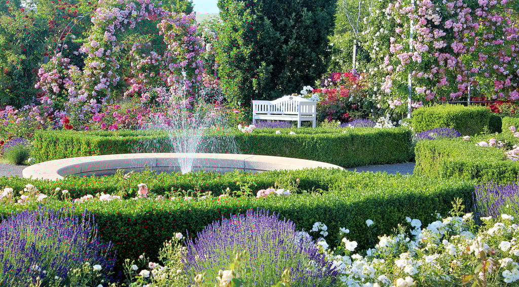 Im Jubiläumsgarten des Europa-Rosariums Sangerhausen geht am Sonntag das erste Picknick-Konzert über die Bühne.
