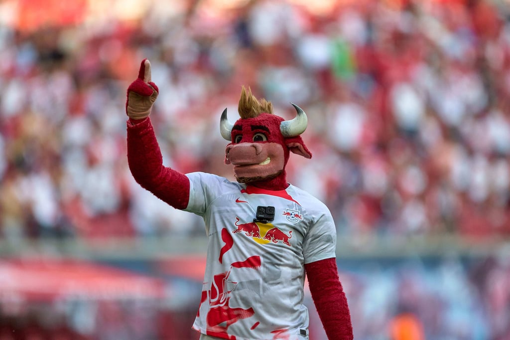 RB-Maskottchen "Bulli" bei der Arbeit.