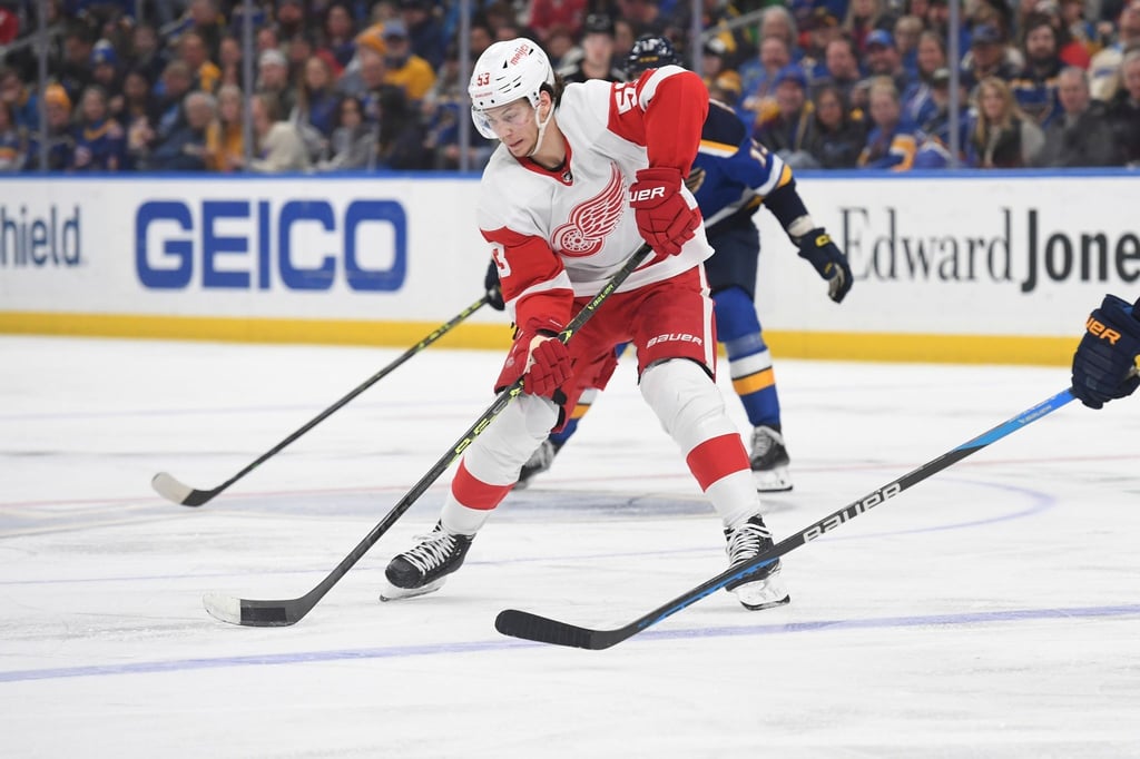 Sagte für die WM ab: NHL-Profi Moritz Seider.