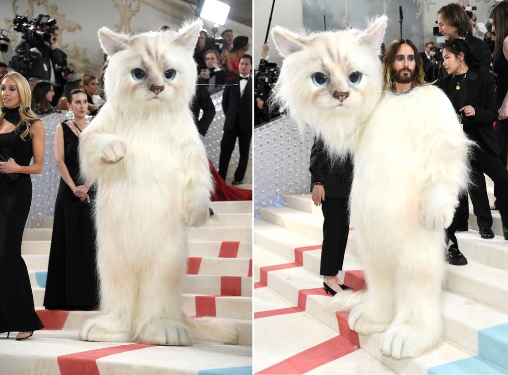 Verkleidet als Katze: Jared Leto sorgte mit seinem Kostüm für Aufsehen bei der MET Gala.