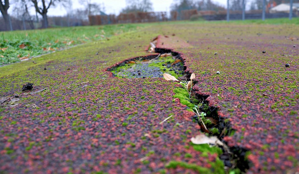 Derartige Risse in der Rundlaufbahn sowie zwei Laufbahnen einer Weitsprunganlage auf dem Sportplatz „Bleiche“ in Osterburg sollen der Vergangenheit angehören. Die Stadt plant Sanierungsarbeiten.