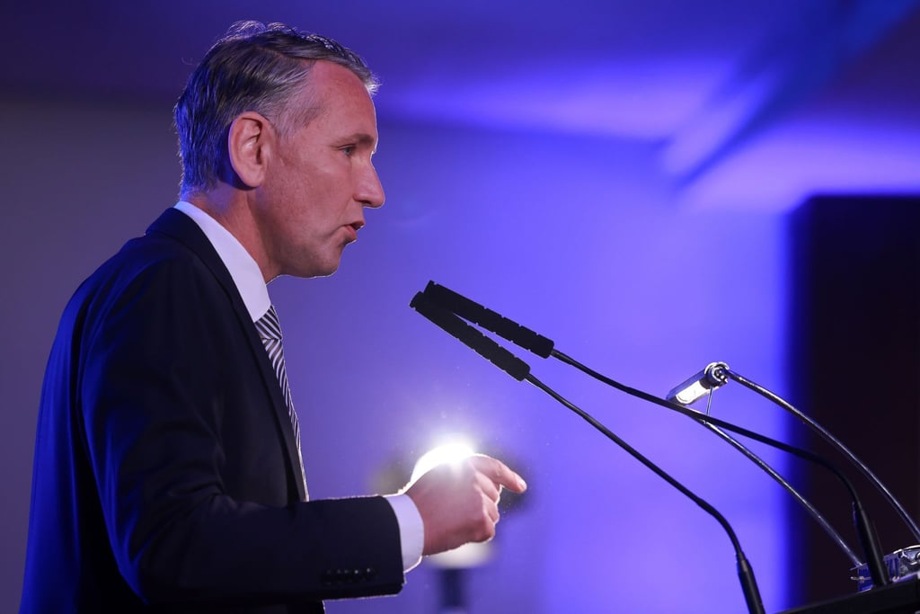Björn Höcke, AfD-Landessprecher, hält beim Landesparteitag der Alternative für Deutschland im „Hotel Pfiffelburg“ eine Rede.