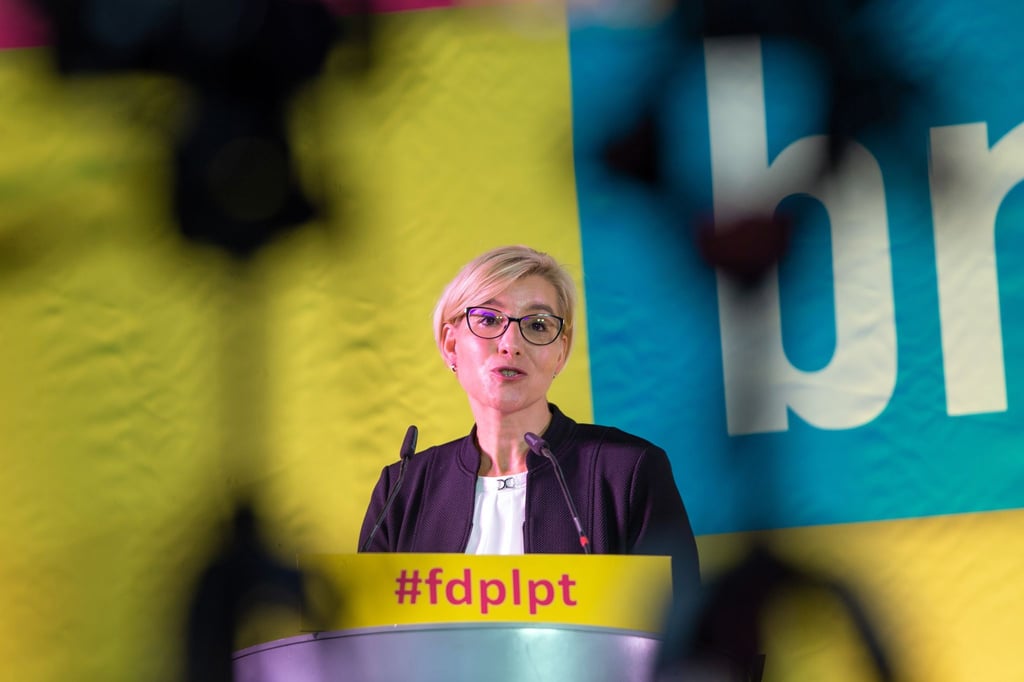 Anita Maaß, Landesparteichefin, spricht bei einem Landesparteitag.