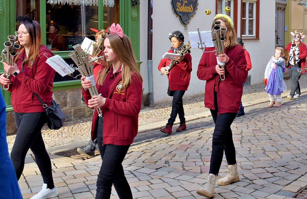 Im Gleichschritt beim Faschingsumzug in Quedlinburg.