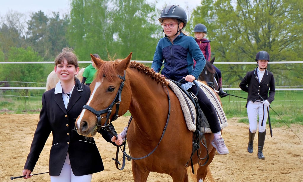 Innerhalb des umfangreichen Programms zeigen die Kleinen unter Anleitung, was sie im Training bisher gelernt haben.