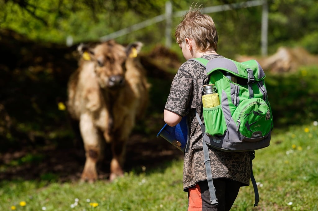 Ein Grundschüler der Freien Bauernhof-Waldschule Südpfalz steht auf der Wiese eines Bauernhofs vor einer Kuh.