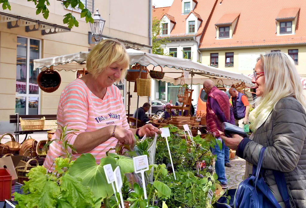 Gabi Schumann (links) vom Raritäten-Kräuterhof „Sommerwiese“ in Schlaitz kommt schon seit Jahren nach Köthen.