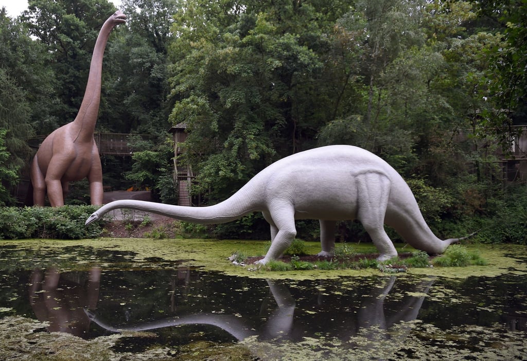 Nachbildungen eines Brachiosaurus (l) und eines Diplodocus stehen im Saurierpark im sächsischen Kleinwelka.