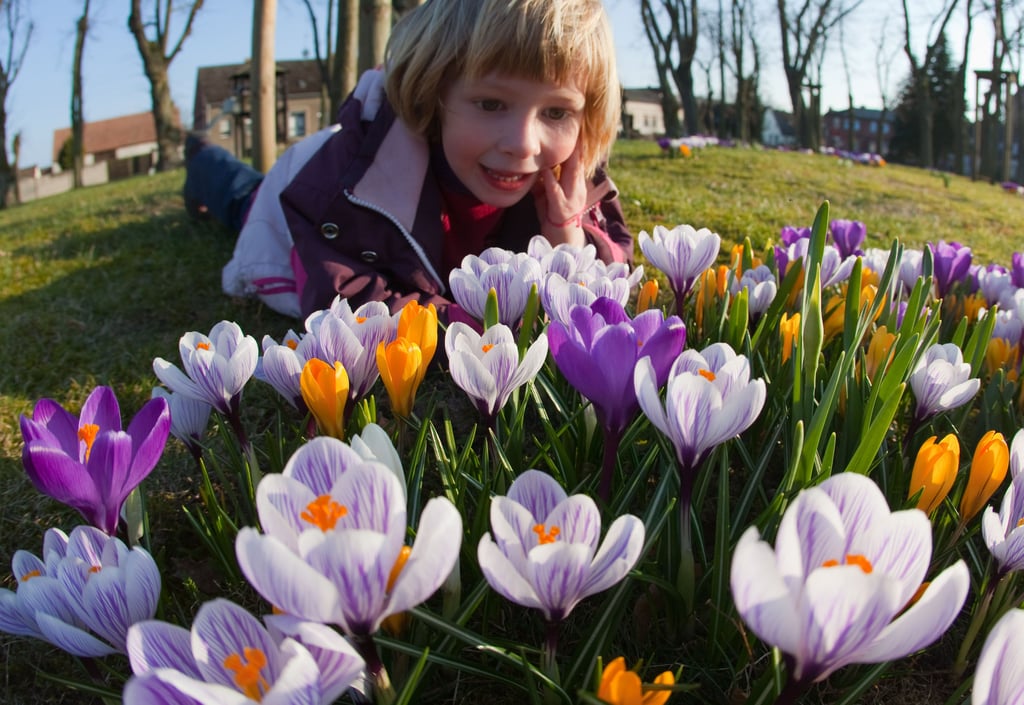 In Magdebrug können Kinder am Ulwelttag verschiedene Pflanzen und Blumen pflanzen.