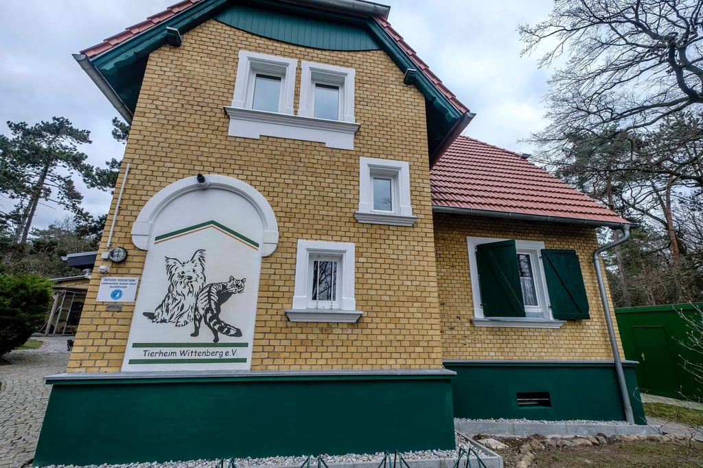 Das Tierheim in Wittenberg: In die Einrichtung ist eingebrochen worden.