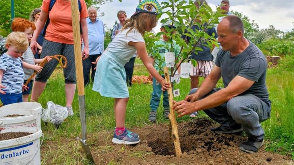 Dem im vergangenen Jahr gepflanzten Apfelbaum gegenüber des Liba-Vereins in Barleben widmet sich ein Programmteil des diesjährigen Familienfestes.