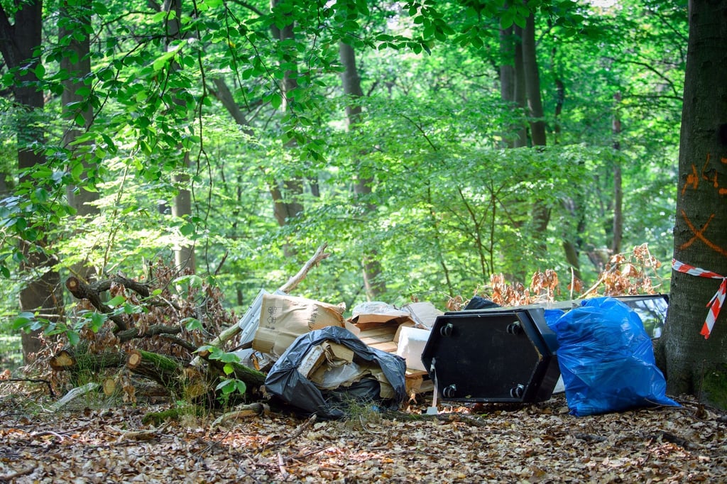 Müll liegt neben eienr Straße im Wald.