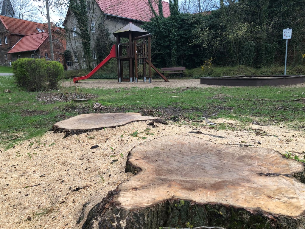 Für die Neugestaltung des Spielplatzes in Borau mussten Bäume gefällt werden.