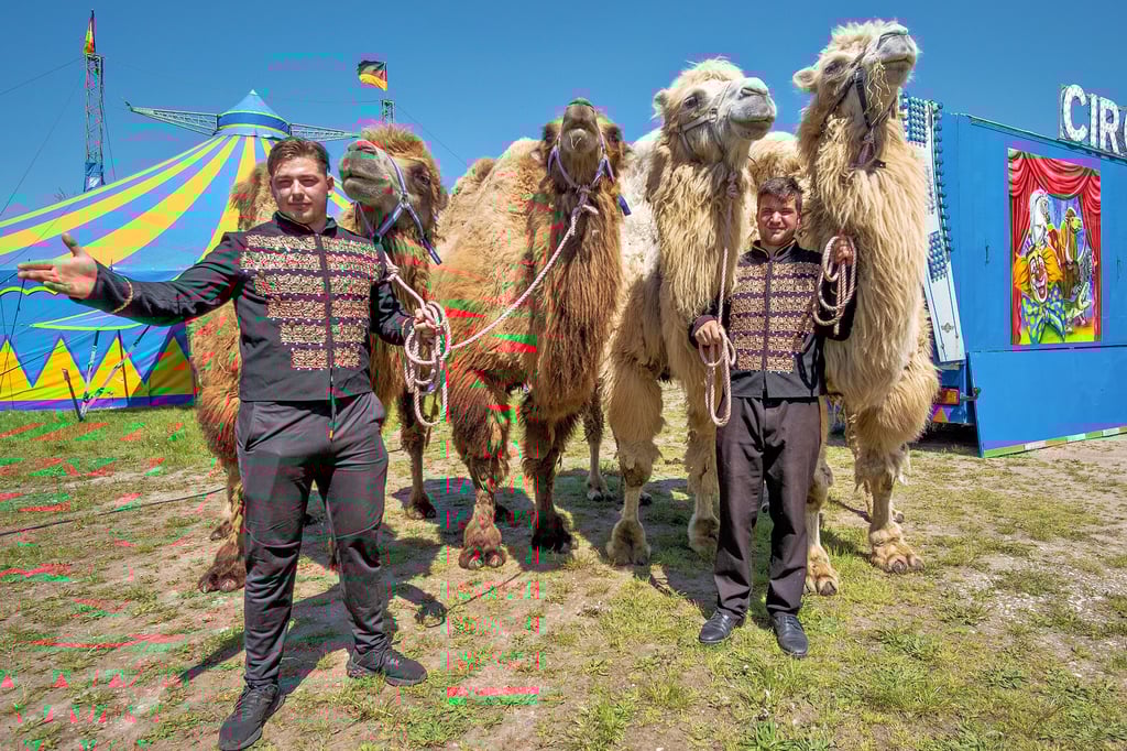 Zirkus Atlantik gastiert im Mai 2023 in Zeitz,inks: Juniorchef Sandro Köllner, r. Robert Köllner Foto: Torsten Gerbank