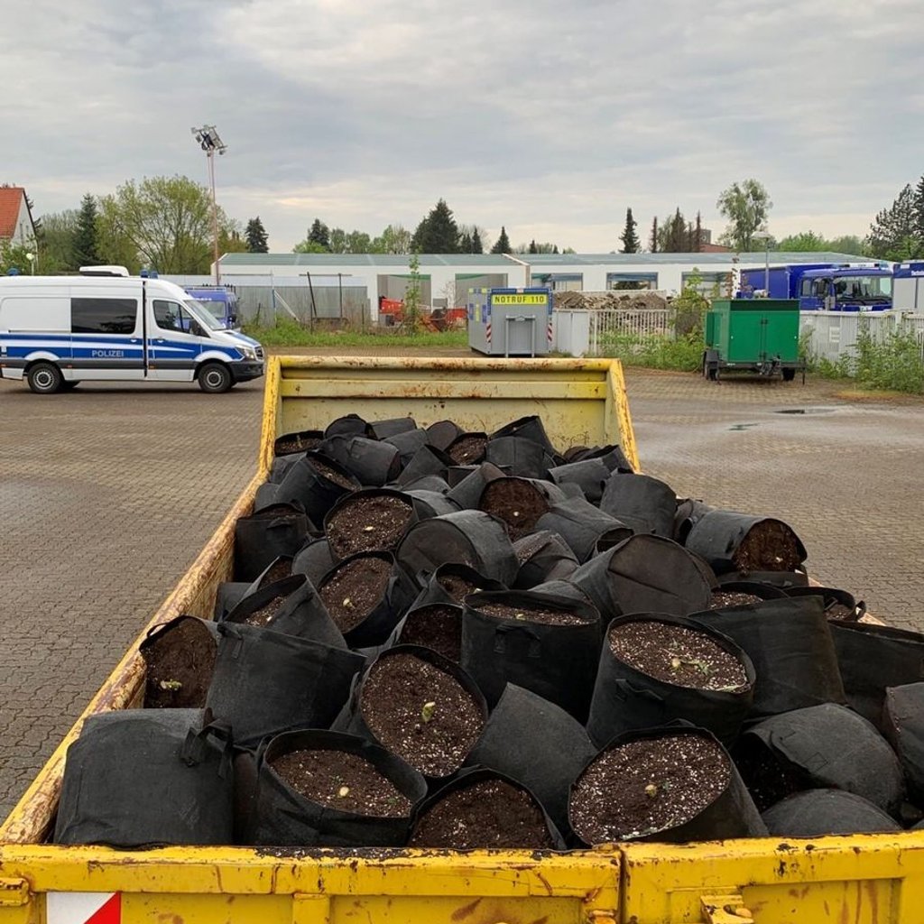 Eine Indoor-Plantage bei Goslar brachte die Polizei an ihre Grenzen. Um die Situation in den Griff zu bekommen, mussten sogar Spezialeinheiten anrücken.