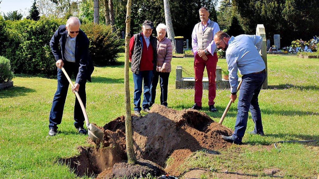 Dr. Peter Sanftenberg (l.) und Bürgermeister Kay Gericke füllten das Pflanzloch des Japanischen Schnurbaums auf dem Biederitzer Friedhof. Der Bienenbaum versorgt die Erdbienen ab August mit Nahrung.