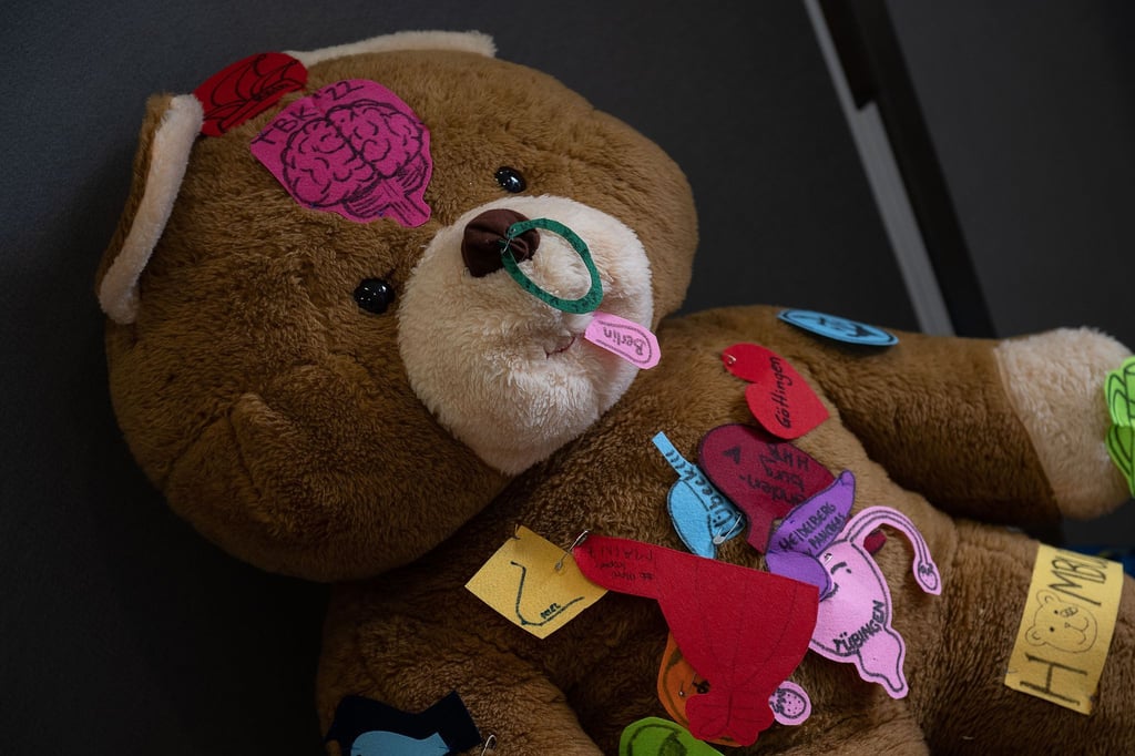 Ein Teddybär liegt im Teddybär-Krankenhaus am Uniklinikum Göttingen.