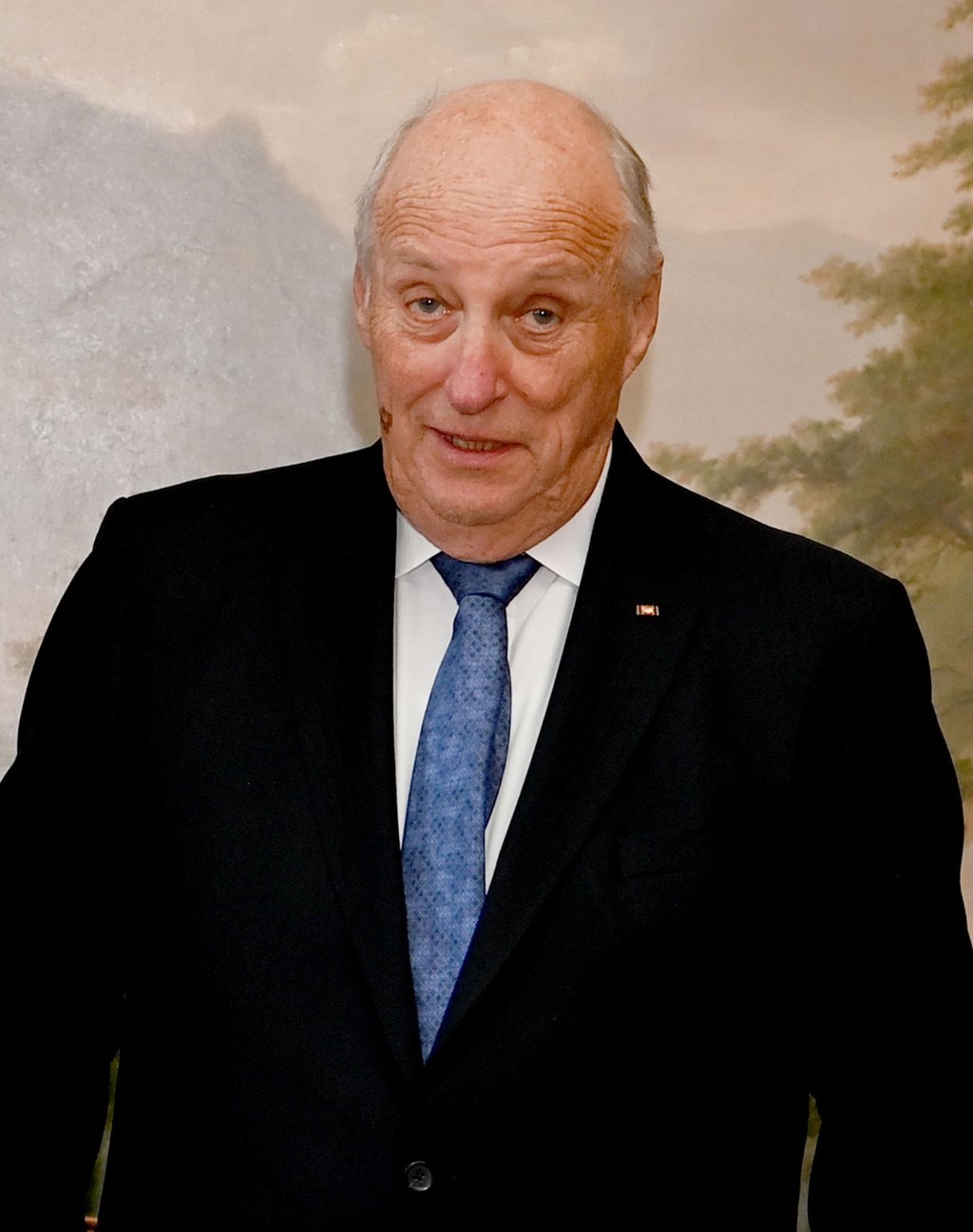 König Harald V. von Norwegen hat das Krankenhaus verlassen können.