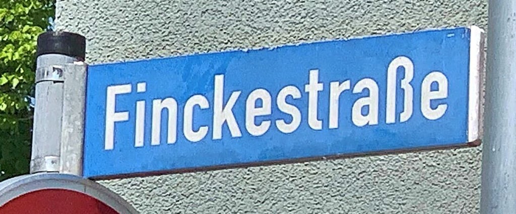Namensgeber der Finckestraße ist der Geheime Sanitätsrat Dr. Ludwig Fincke. Er war der erste ärztliche Leiter des St.-Salvator-Krankenhauses und langjähriger Stadtverordnetenvorsteher.
