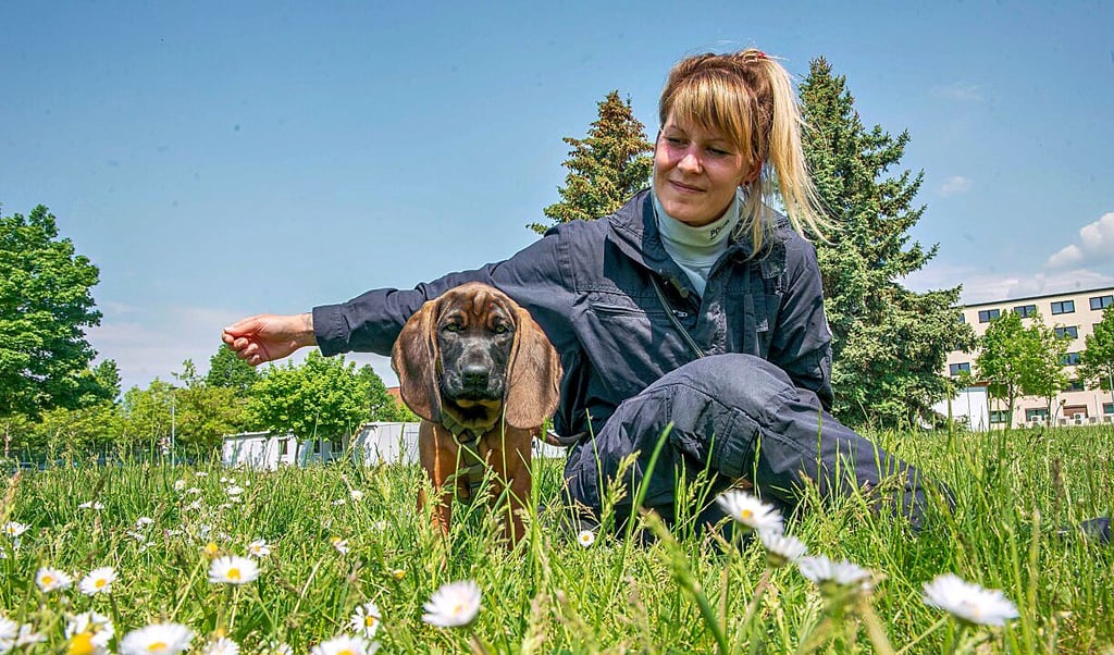 Susann Legel und der Welpe Jakob, der als Personenspürhund ausgebildet wird.