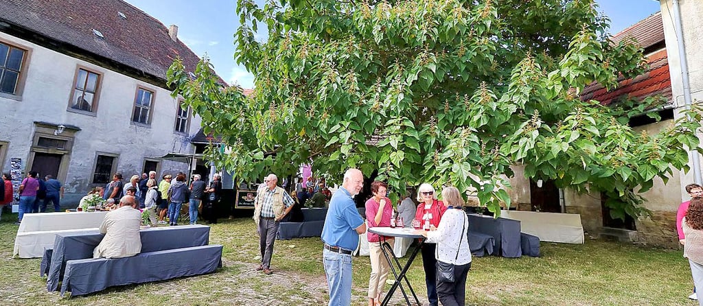 Der "Biergarten unterm Blauglockenbaum" in Allstedt
