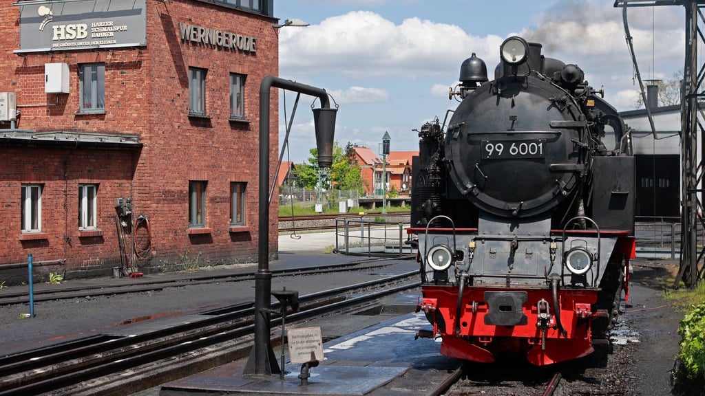 Eine Dampflokomotive der Harzer Schmalspurbahnen GmbH HSB steht an der Einsatzstelle.