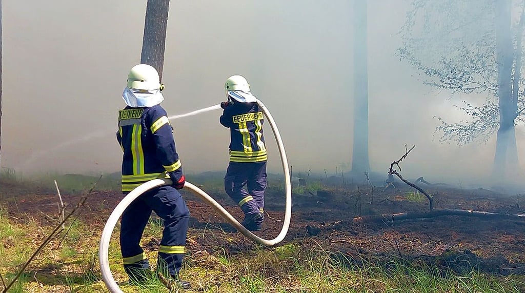 Fast 60 Feuerwehrleute waren am Wochenende beim Löschen eines Waldbrandes in Parchen im Einsatz.