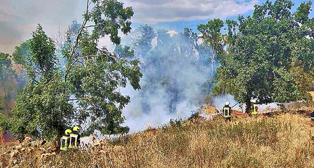 Am 10. August rückten Einsatzkräfte zu einem Vegetationsbrand bei Burgscheidungen aus. Es war einer von insgesamt acht Großbränden auf dem Gebiet der Verbandsgemeinde Unstruttal im vergangenen Jahr.