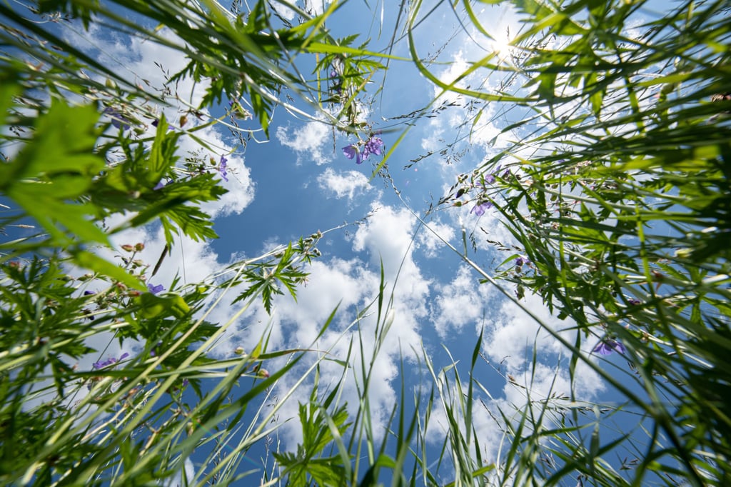 Es wird sonnig, aber kühl in Sachsen-Anhalt