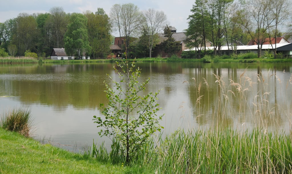 Die Idylle am Ahlumer See lockt auch Urlauber an. Doch wer dort mit seinem Wohnmobil einen Stellplatz buchen will, findet nicht so leicht die nötigen Informationen und Kontaktdaten dafür.