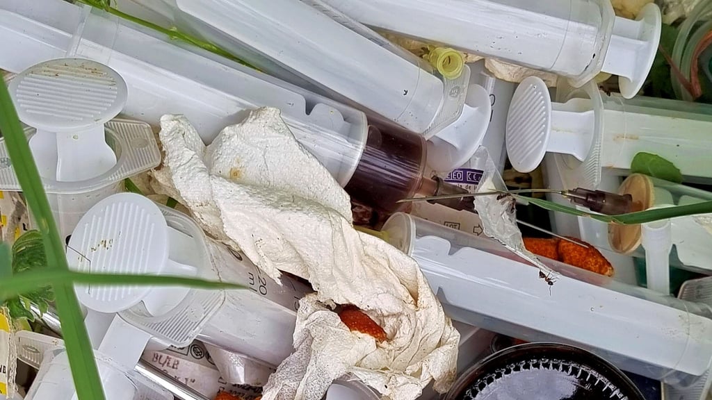 Wer macht sowas? Spritzen und medizinisches Material wurden auf einem Feld bei Aschersleben entsorgt.