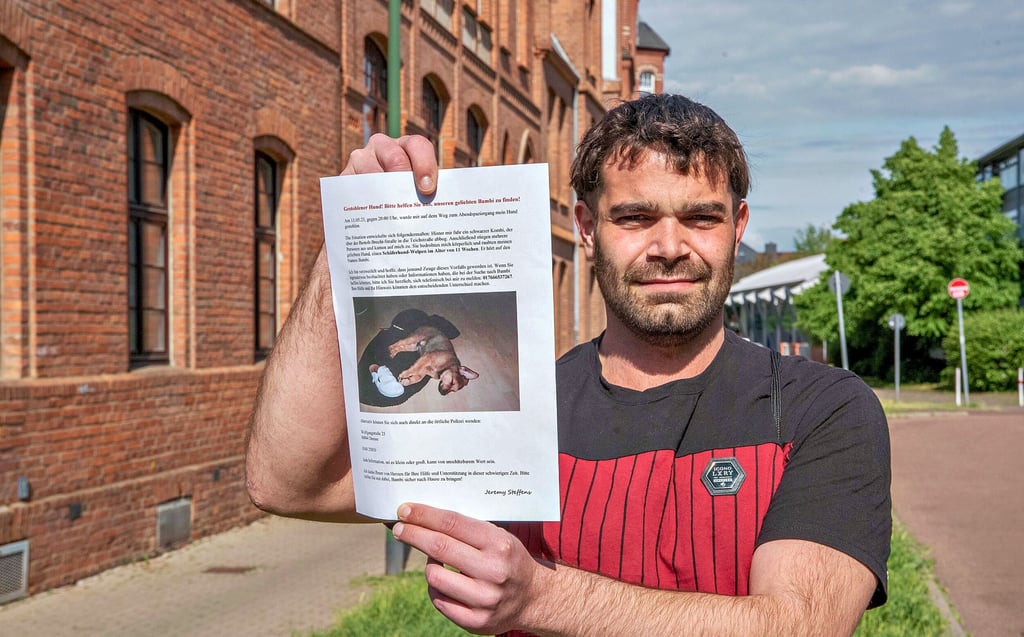 An dieser Stelle in der Teichstrasse wurde Jeremy Steffens der Hund entrissen. Er hat Anzeige gestellt und einen Suchaufruf gestartet.