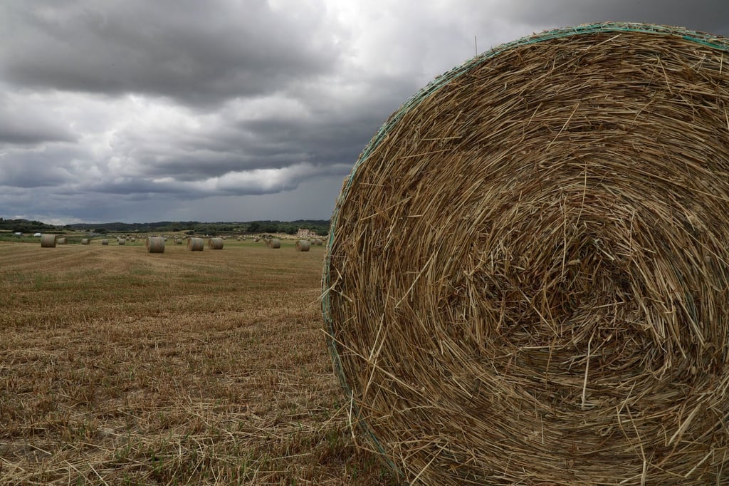 Rundballen aus Stroh liegen auf einem Feld an einem bewölkten Tag.