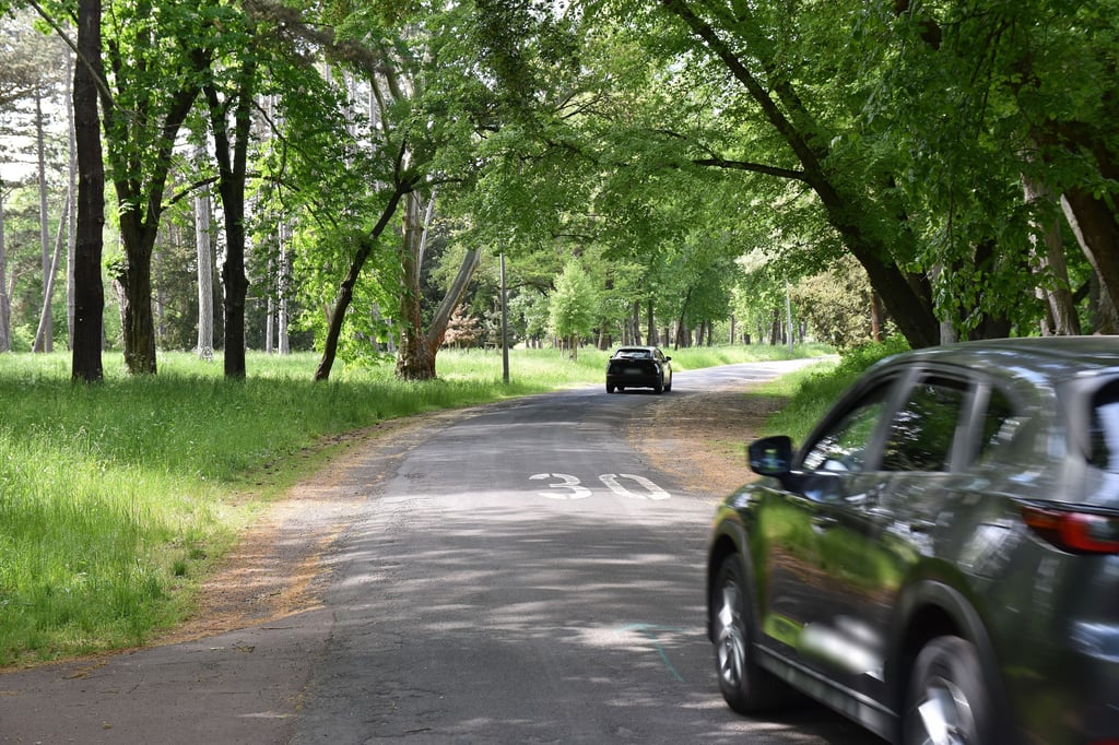 Auf einem Teilstück des Seilerwegs im Stadtpark dürften künftig keine Autos mehr fahren.